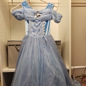 Blue Silver Cinderella's Princess Costume Dress